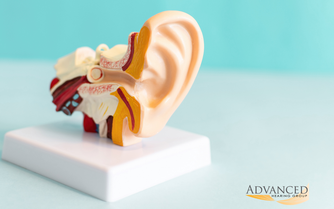 Understanding the Different Types of Hearing Loss